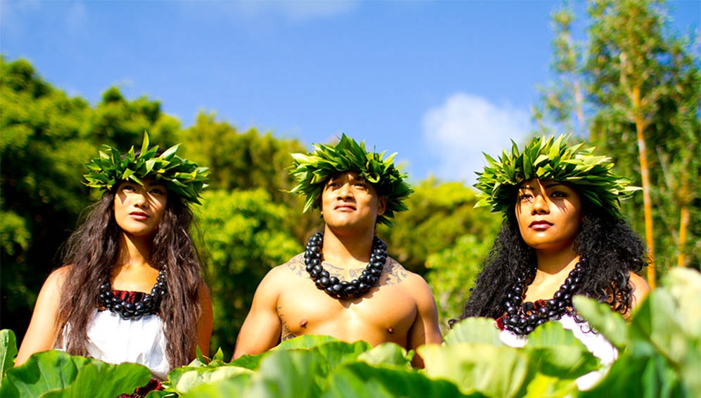 island breeze luau